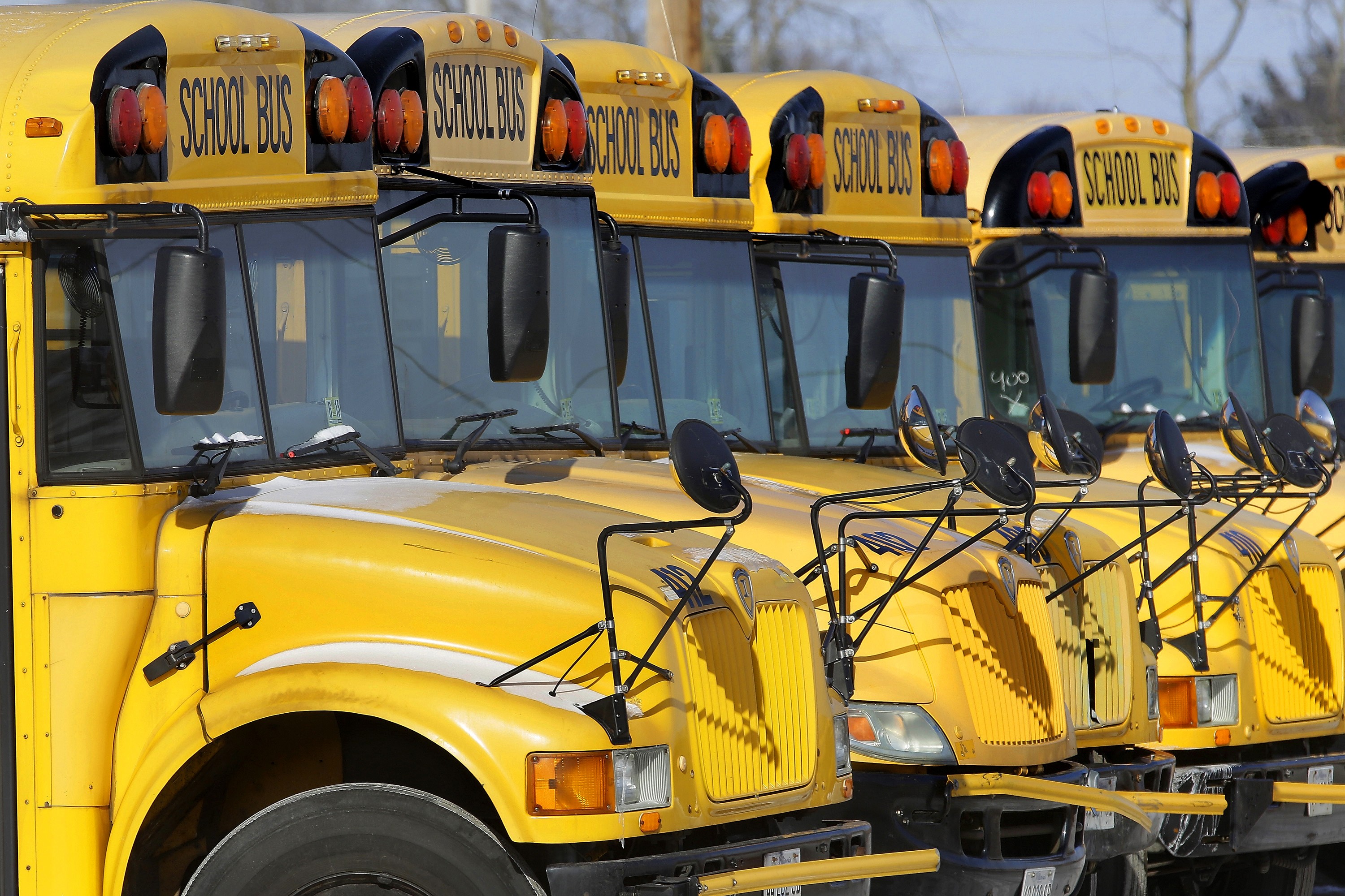 Arkansas School Buses