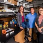 Faculty & Researchers collaborating at NAU's Center for STEM Teaching and Learning