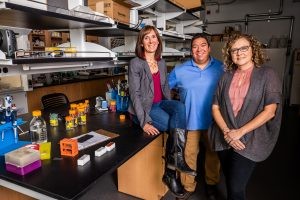 Faculty & Researchers collaborating at NAU's Center for STEM Teaching and Learning