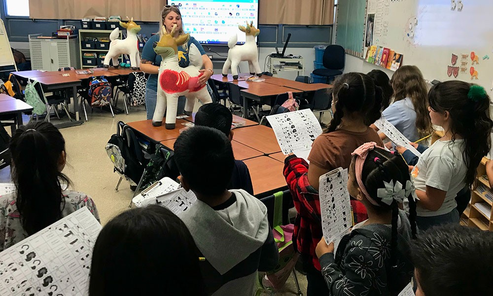 Students in a California classroom participate in a predator kill identification activity, a learning experience inspired by CCF.