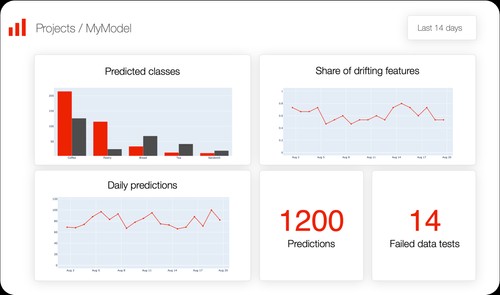 Evidently Classification Performance Report