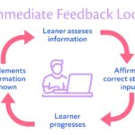 Diagram illustrating an Immediate Feedback Loop in learning.