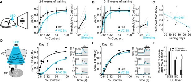 Unraveling the Neural Basis of Learning Speed in Visual Detection Tasks