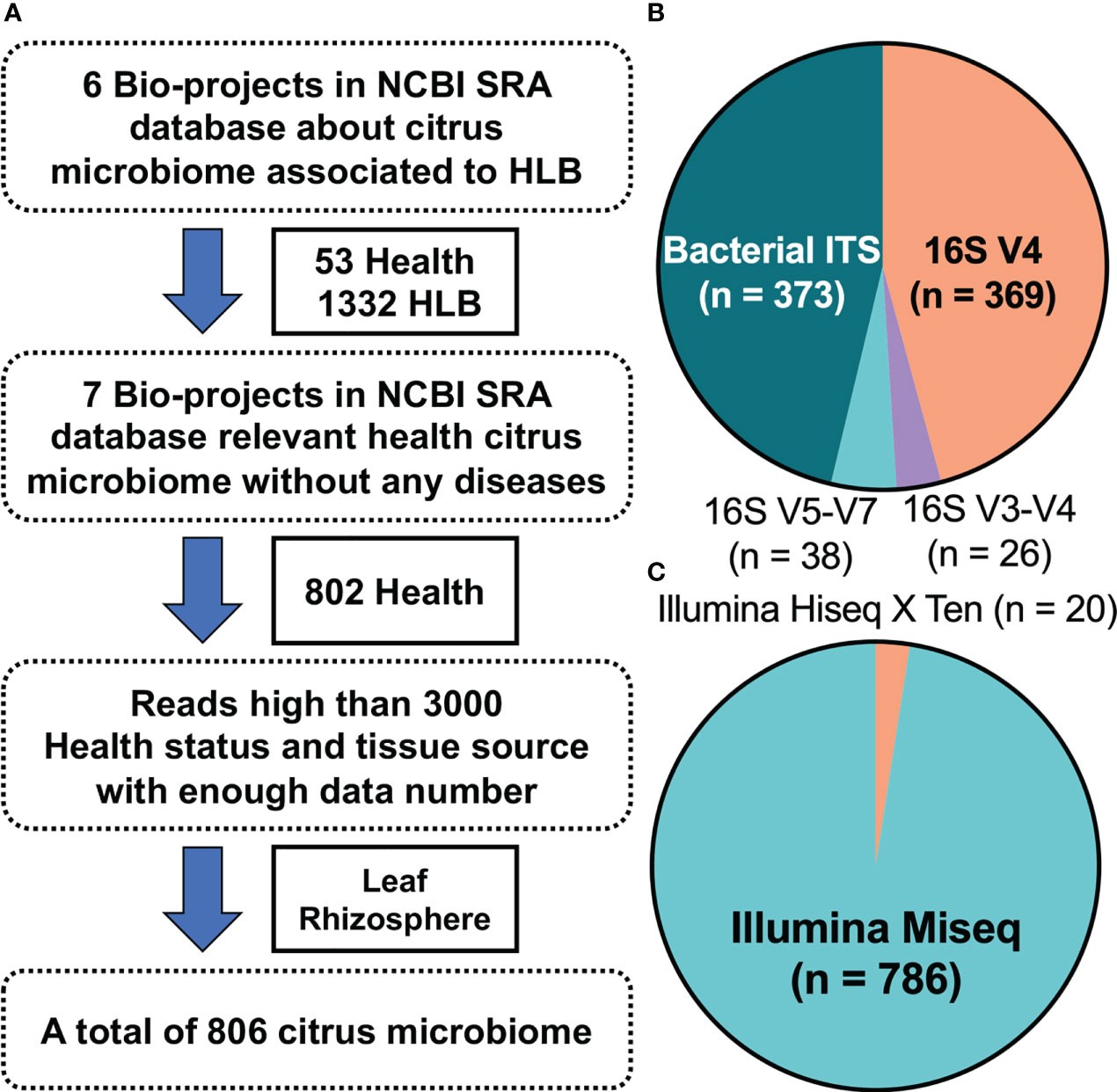 Study characteristics. **(A)** Thirteen bio-projects were considered, from which 806 bacterial samples were ultimately selected. **(B)** Details regarding the amplified regions for all selected samples. **(C)** Ratio of the sequencing platforms for all selected samples.