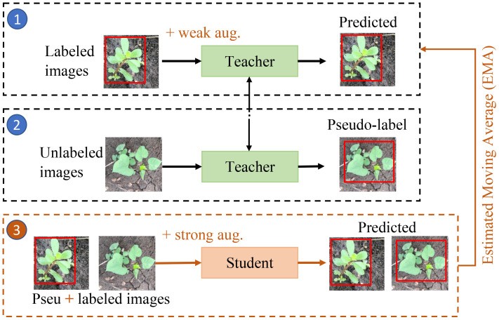 Figure 3