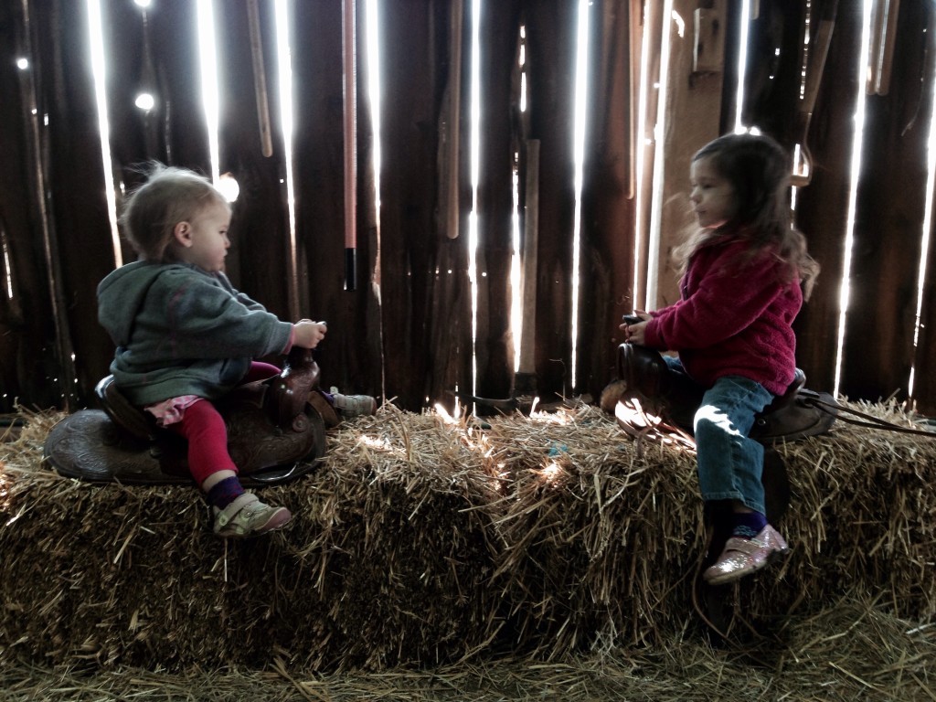 Children joyfully exploring nature at Learning Tree Farm