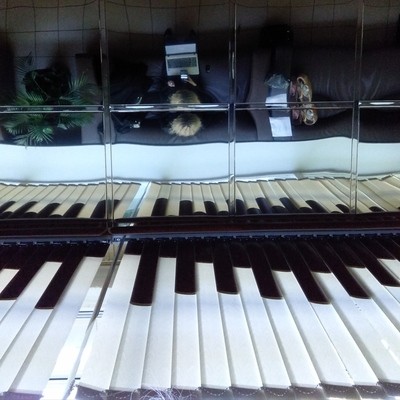 Inside of a piano_adapted