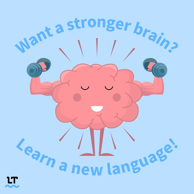 Brain workout through language learning