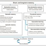 Classification of different types of memory process