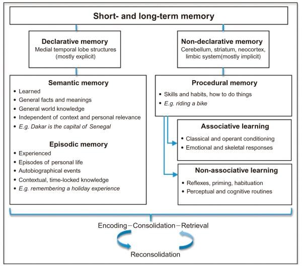 Classification of different types of memory process