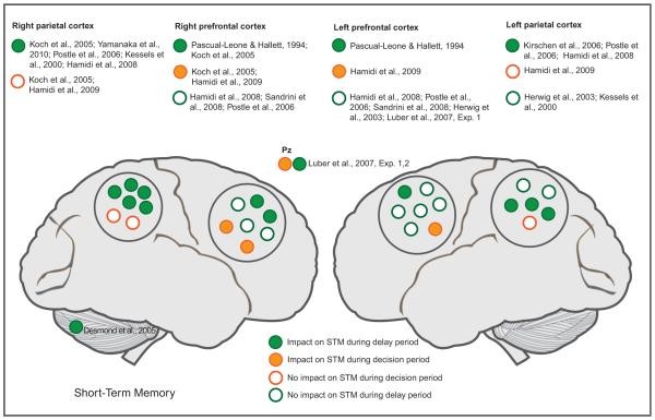 Schematic summary of findings from studies investigating the impact on short-term memory after stimulation over the left or right prefrontal cortex, parietal areas, or the cerebellum during the delay (green) or the decision period (orange)