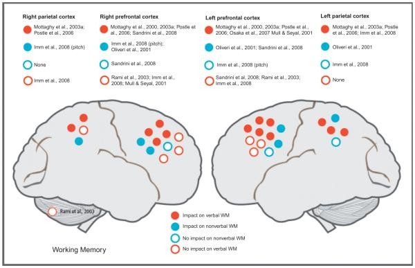 Schematic summary of findings from studies investigating the impact on verbal (red) or nonverbal (blue) working memory (WM) after stimulation over the left or right prefrontal cortex (PFC), parietal areas, or cerebellum.