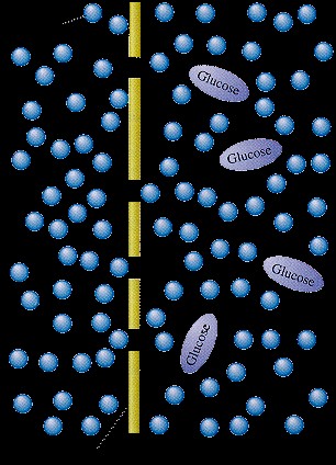 Osmosis Learning: Biological Osmosis as a Metaphor for Natural Knowledge Absorption in Organizations.