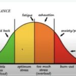 Performance Curve