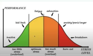 Performance Curve