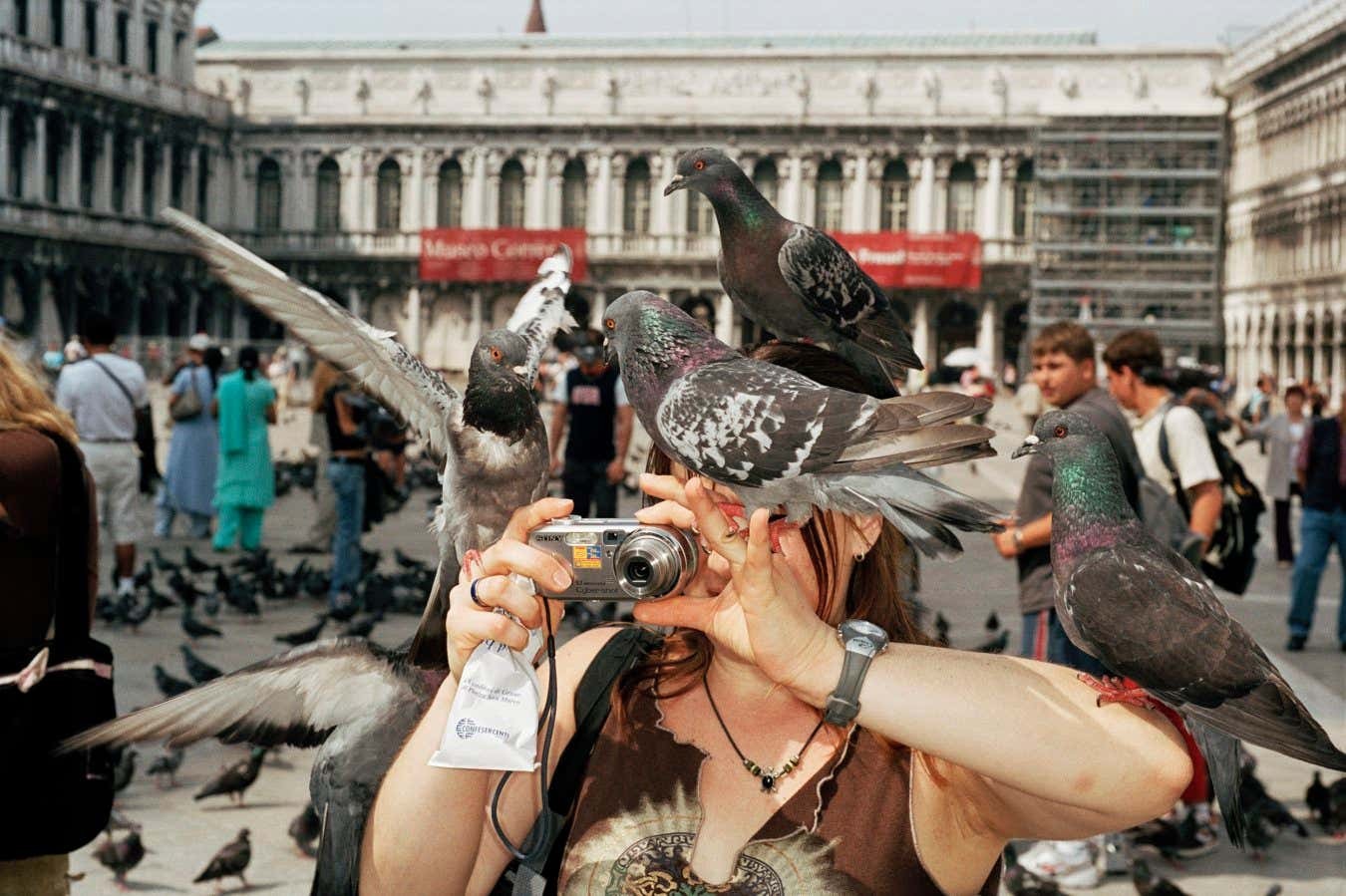 A tourist in Venice, Italy is playfully surrounded by pigeons, showcasing the birds' boldness and adaptability in urban environments, and highlighting interesting animal behaviors to observe and learn from.