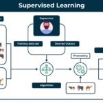 Labeled dataset for supervised learning