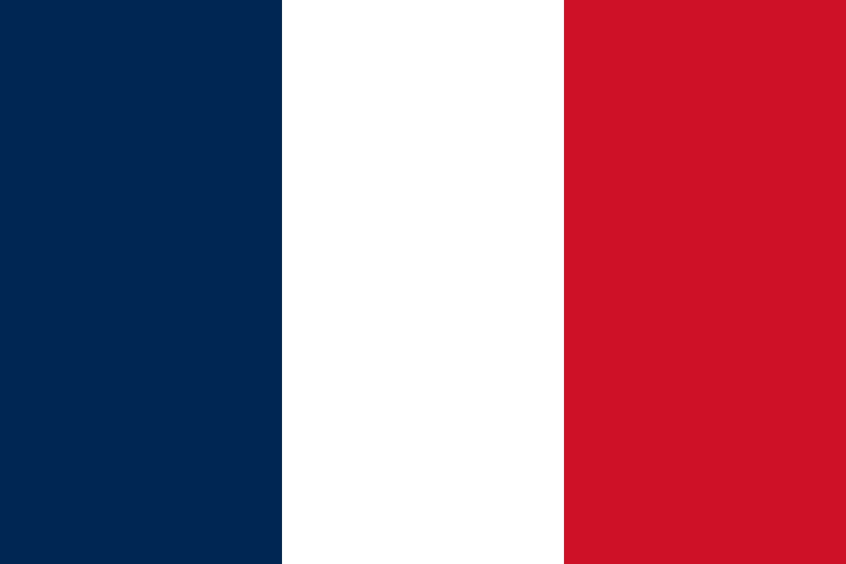 French Flag with Bonjour de France Logo