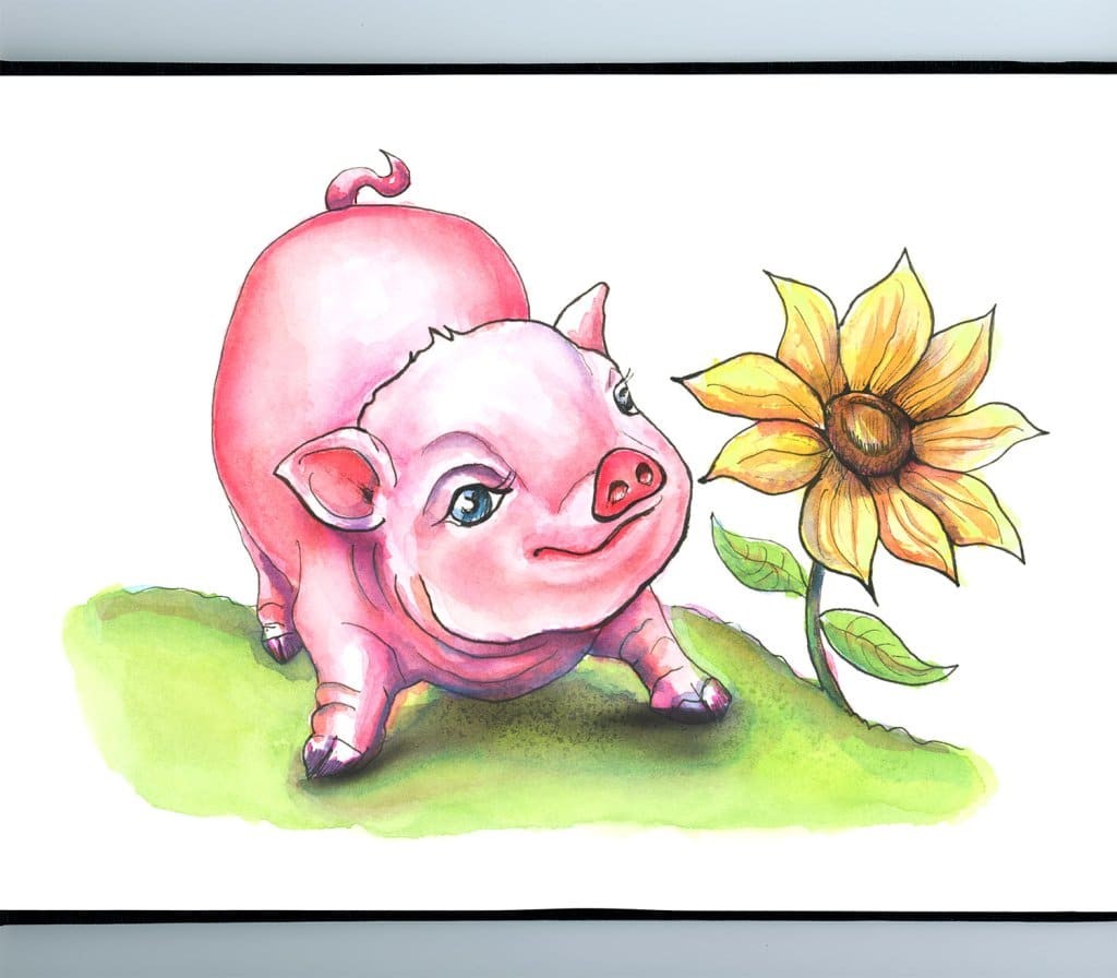 Baby Pig Piglet Looking At Yellow Flower Watercolor Illustration Sketchbook Detail