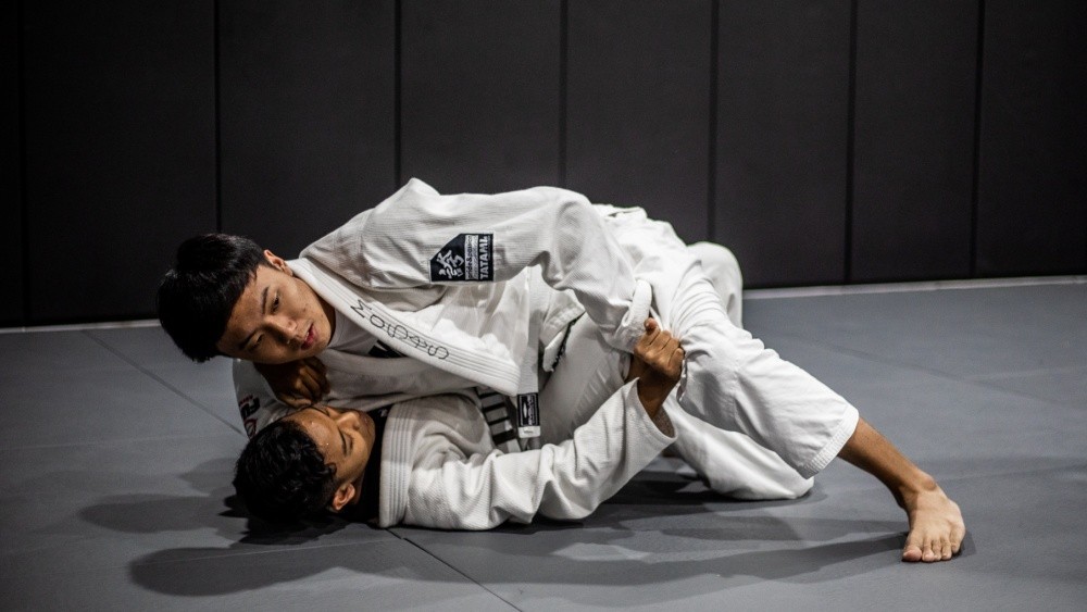 MMA training book