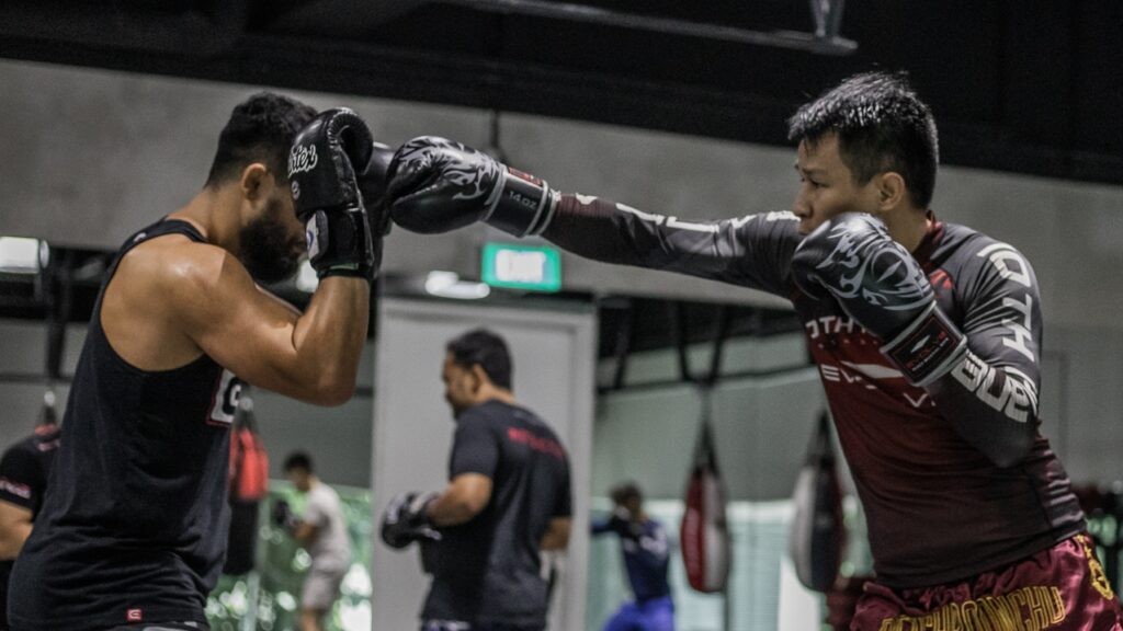 Online MMA training session