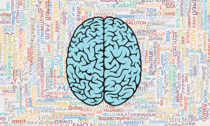 Brain Health