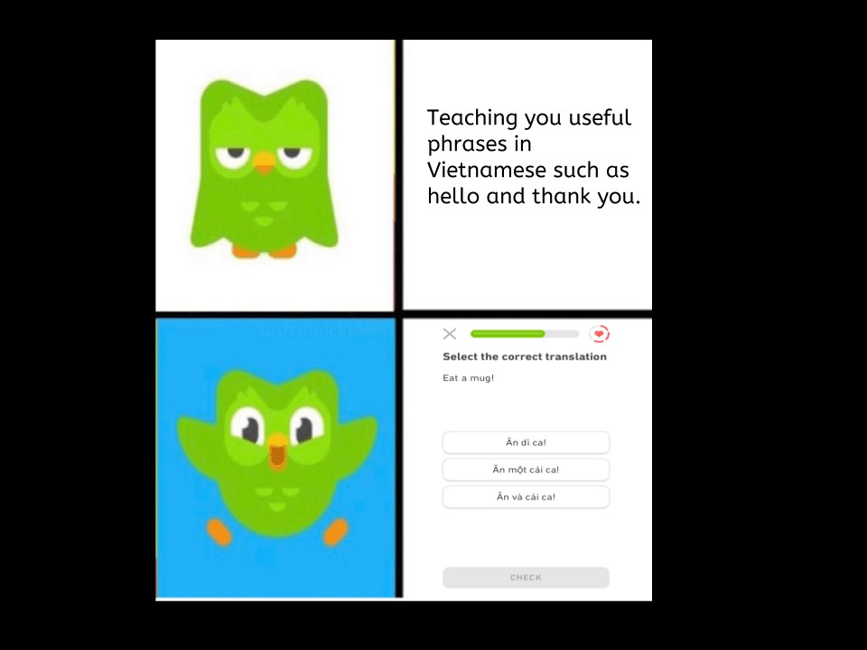 Duolingo Vietnamese Phrase