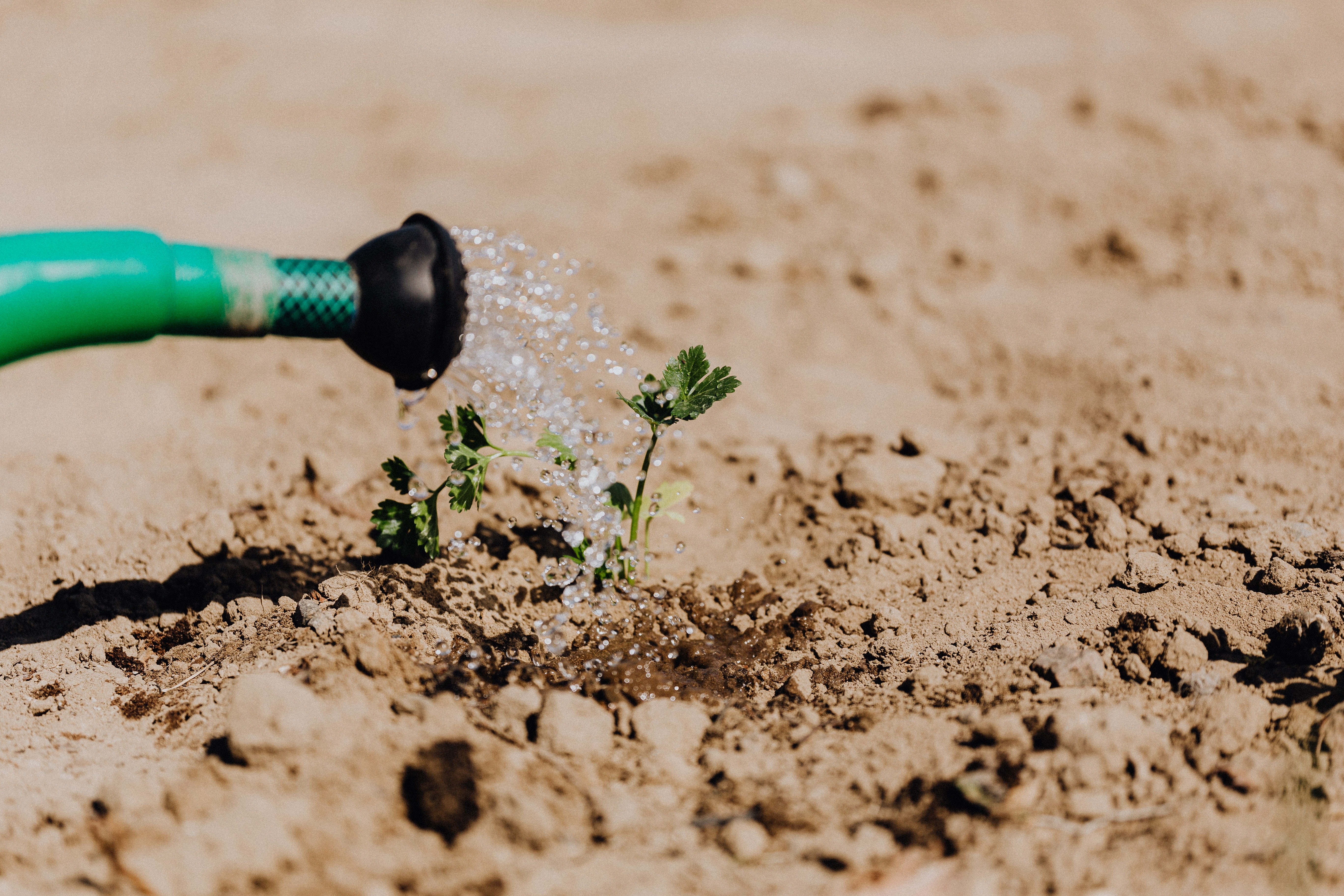 Embedded computer system-drip irrigation