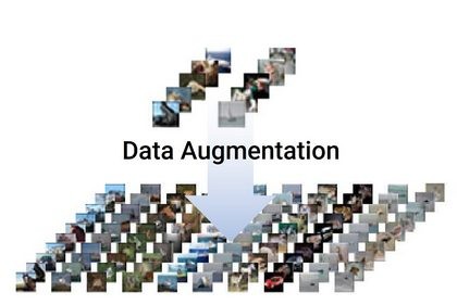 Data Augmentation