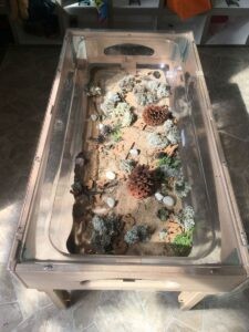 Inclusive Learning Environment