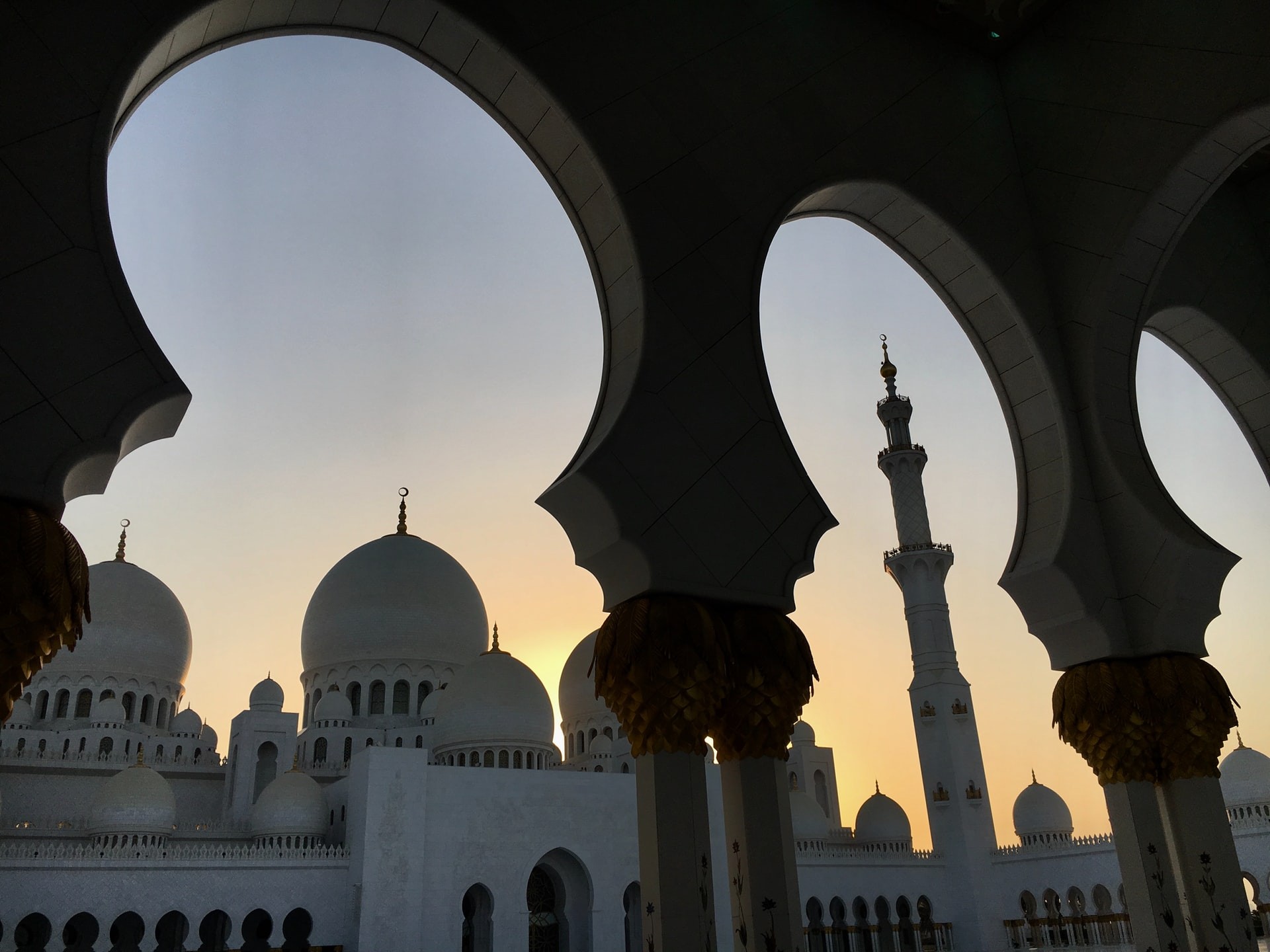 Languages other than arabic you speak
