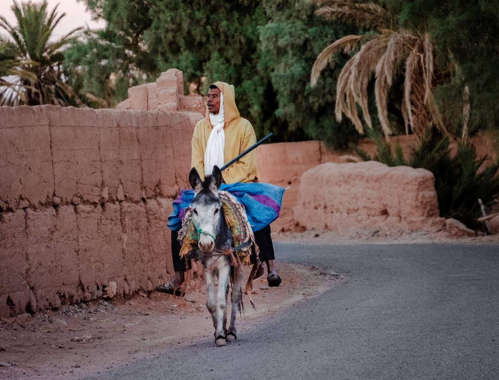 Street photography Morocco - man riding donkey in Morocco