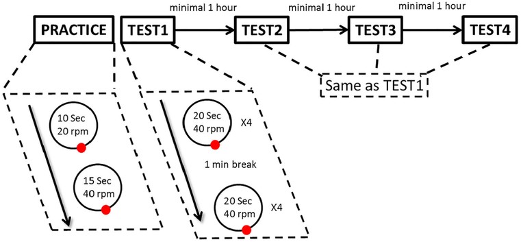 Rotary Pursuit Task
