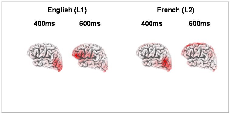 Neural pathways strengthened through second language acquisition, enhanced cognitive skills