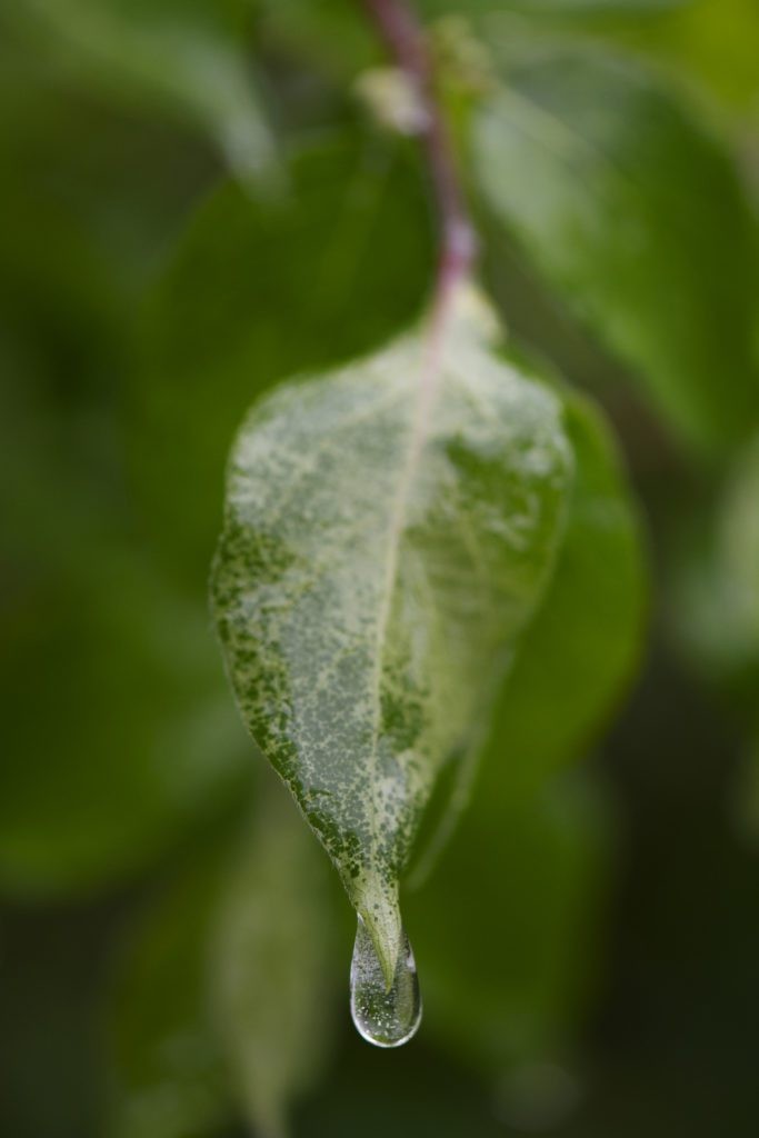 Macro shot of a camera lens, symbolizing focus and precision in learning