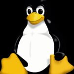 Linus Torvalds Key Projects
