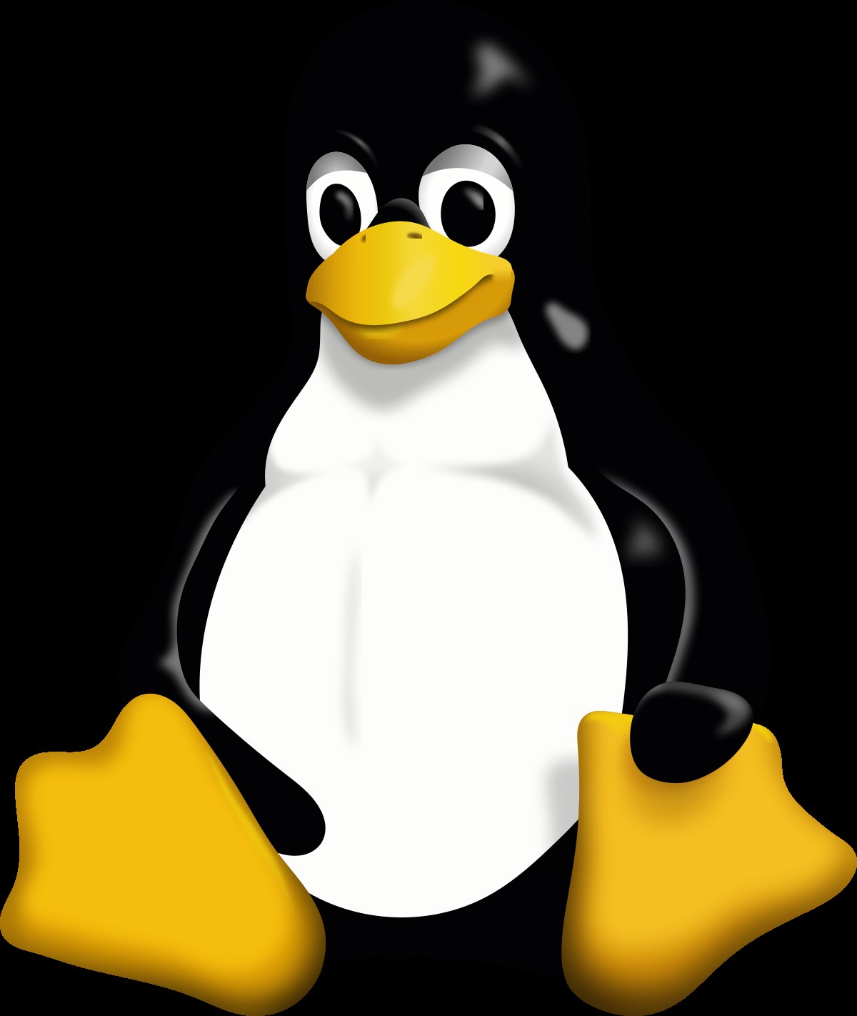 Linus Torvalds Key Projects