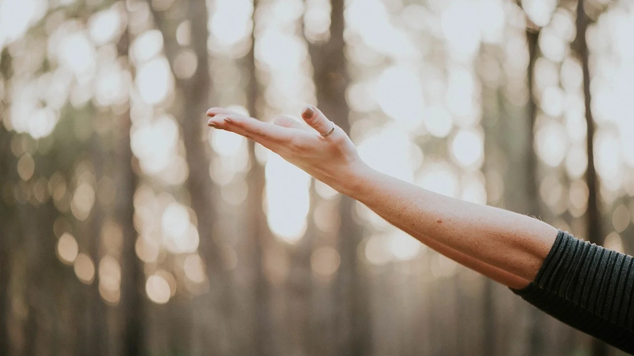 IVF Yoga Header
