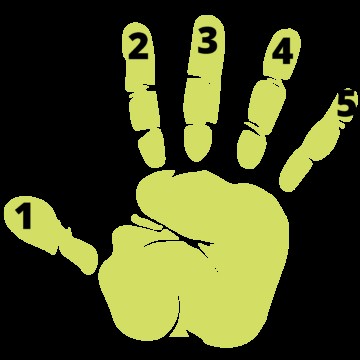 Keyboard Finger Exercises