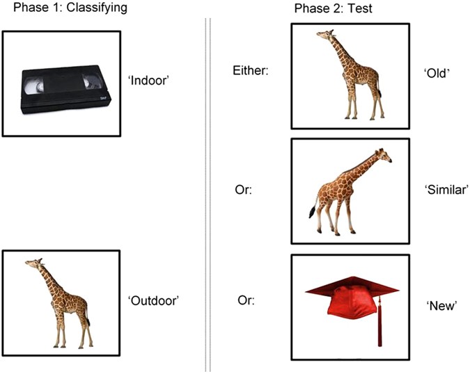 Mnemonic Similarity Task