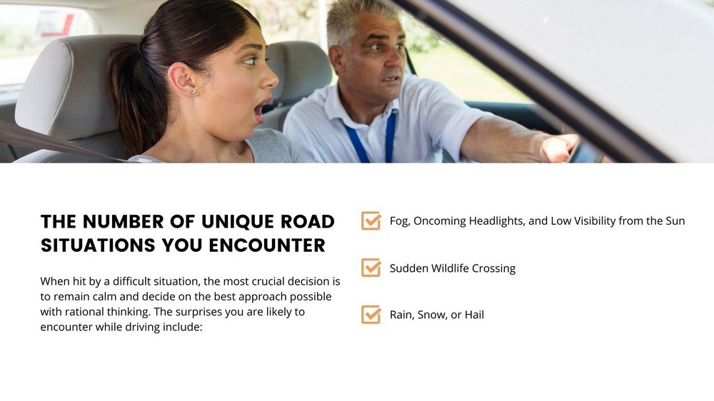 Diverse Road Situations