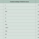 German Grammar Endings Table