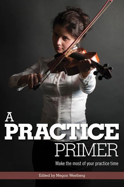 Adult violinist practicing