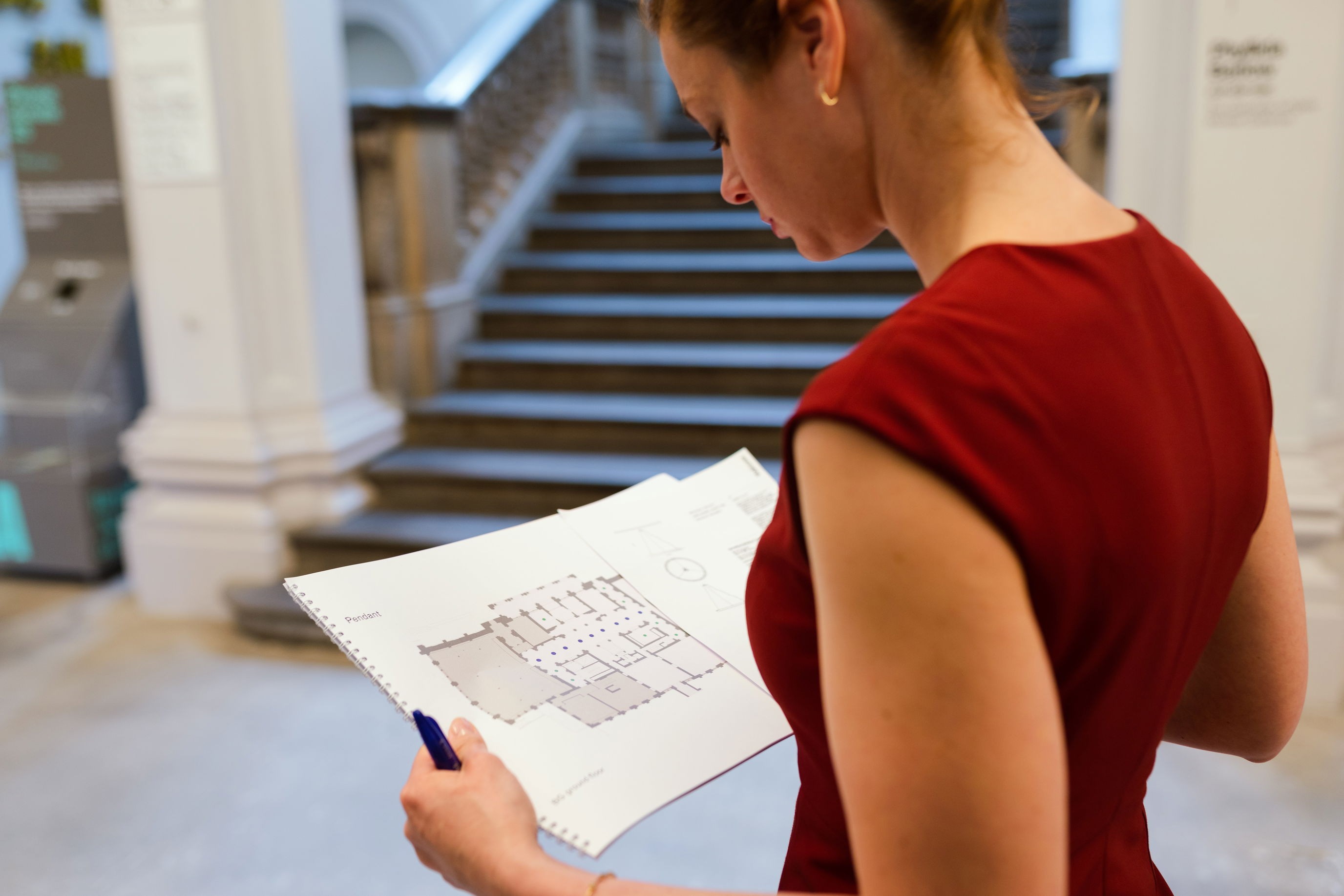 A chartered accountant reviewing financial statements