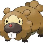 Bidoof looking confused