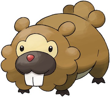 Bidoof looking confused