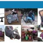 MS COCO Dataset Examples