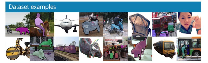 MS COCO Dataset Examples