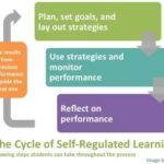 The cycle of self-regulated learning