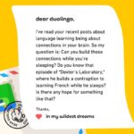 Brain during sleep